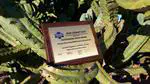 COMSYS wins Outstanding Paper Award at ACM SIGSAC CODASPY 2017